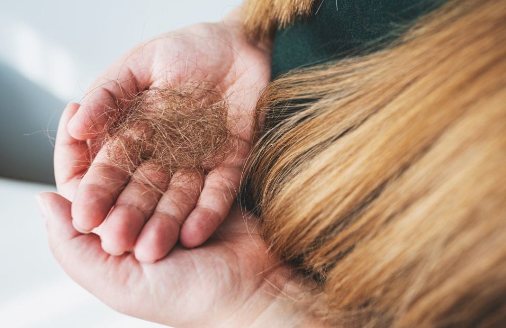 מה זה ביוטין לשיער? ואיך הוא מחזק את השערה